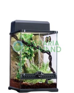 HABITAT KIT RAINFOREST  SMALL